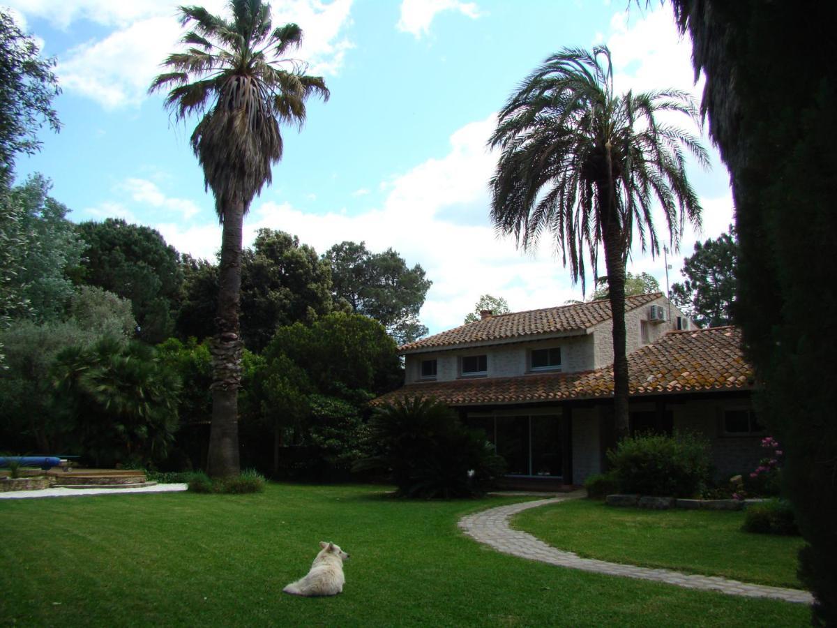 La Villa Saint Andre - Argeles Sur Mer Exteriör bild