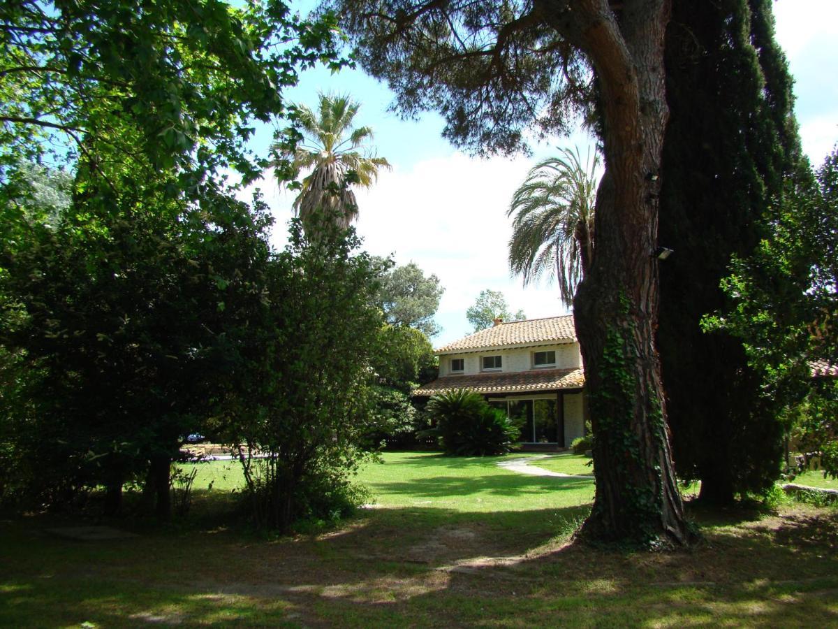 La Villa Saint Andre - Argeles Sur Mer Exteriör bild
